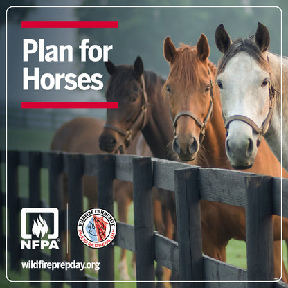 Three horses behind a fence with NFPA and wildfire preparedness logos, and text about planning for horses.