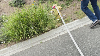 Ace Fire Defense – Brass Gated WYE Hydrant Splitter Valve | 2.5" x 1.5" HN-NST Thread