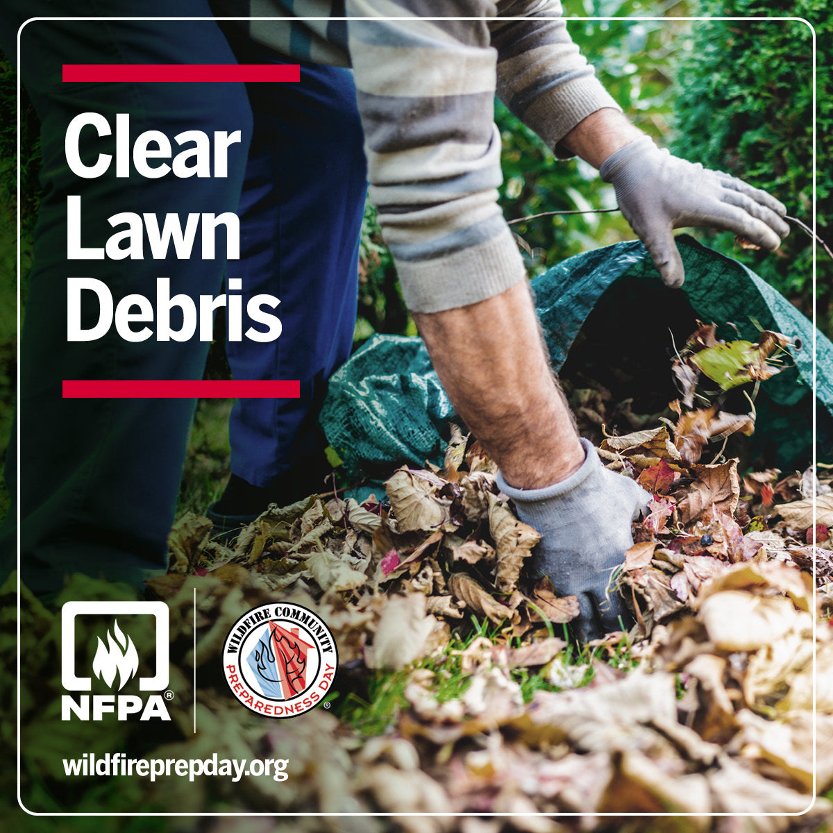 Person clearing lawn debris with text about Clear Lawn Debris and NFPA on a green background